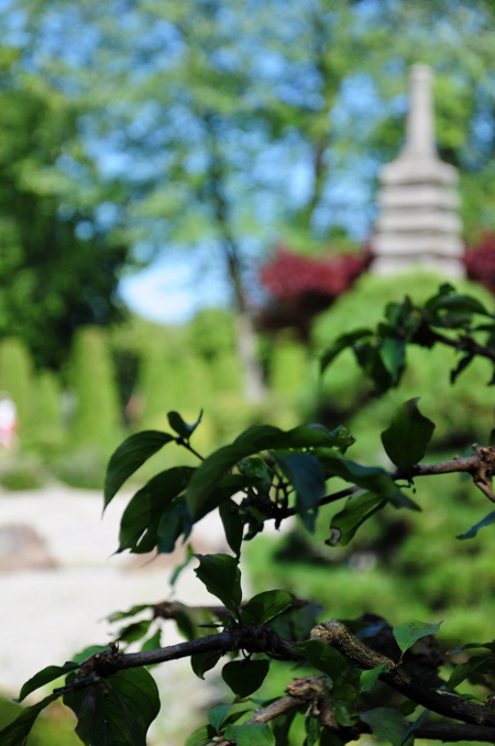 Japanischer Garten Bonn