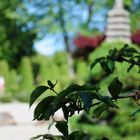 Japanischer Garten Bonn