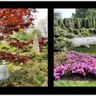 Japanischer Garten Bonn