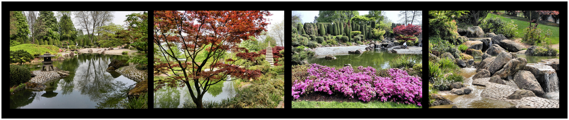 Japanischer Garten Bonn