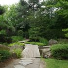 Japanischer Garten, Bonn in der Rheinaue