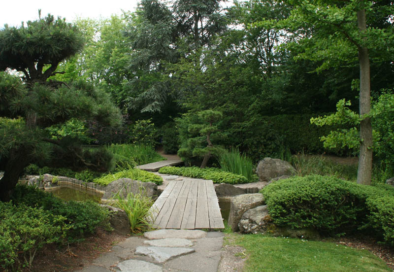 Japanischer Garten, Bonn in der Rheinaue