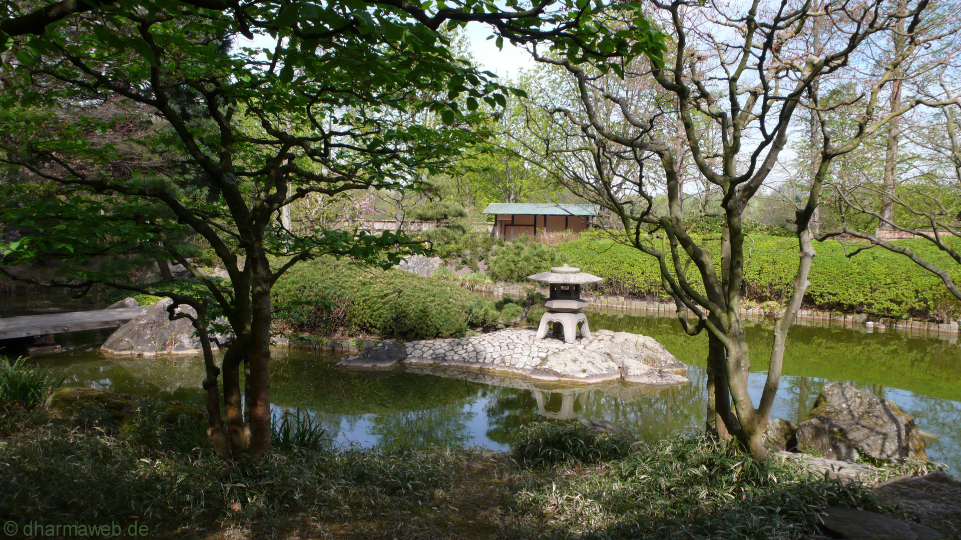 Japanischer Garten Bonn - Rheinaue