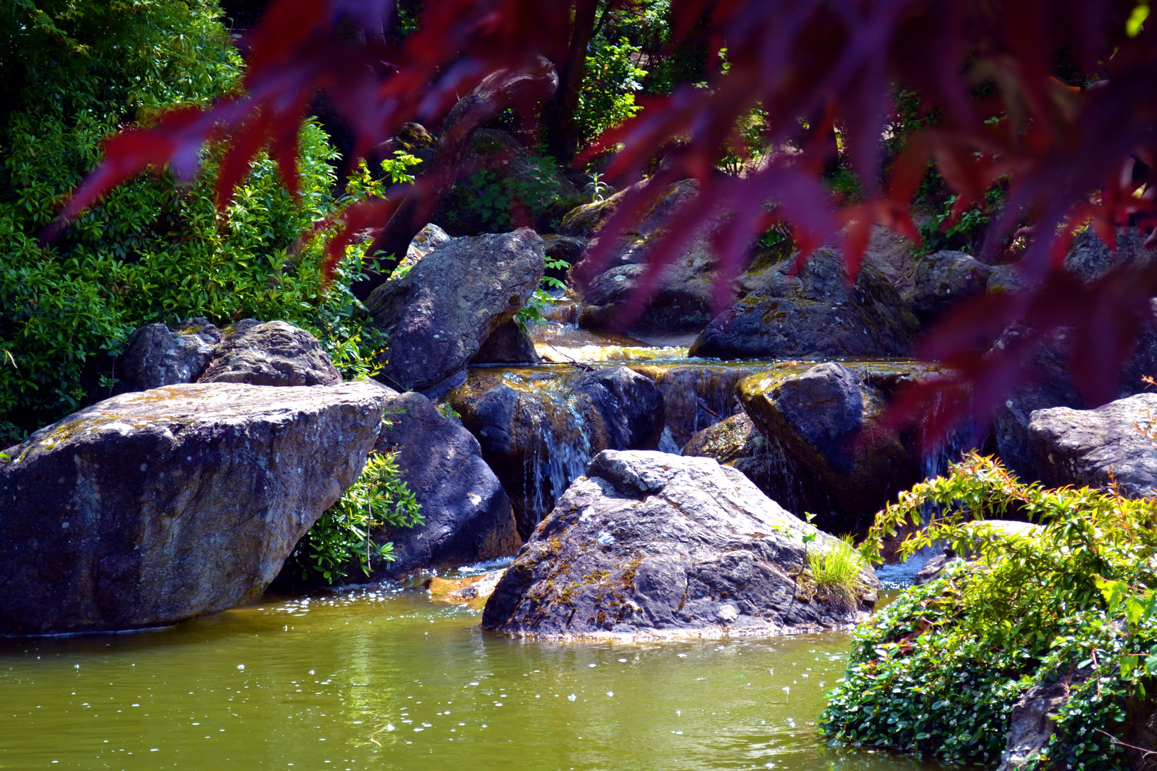 Japanischer Garten Bonn Rheinaue