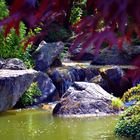 Japanischer Garten Bonn Rheinaue