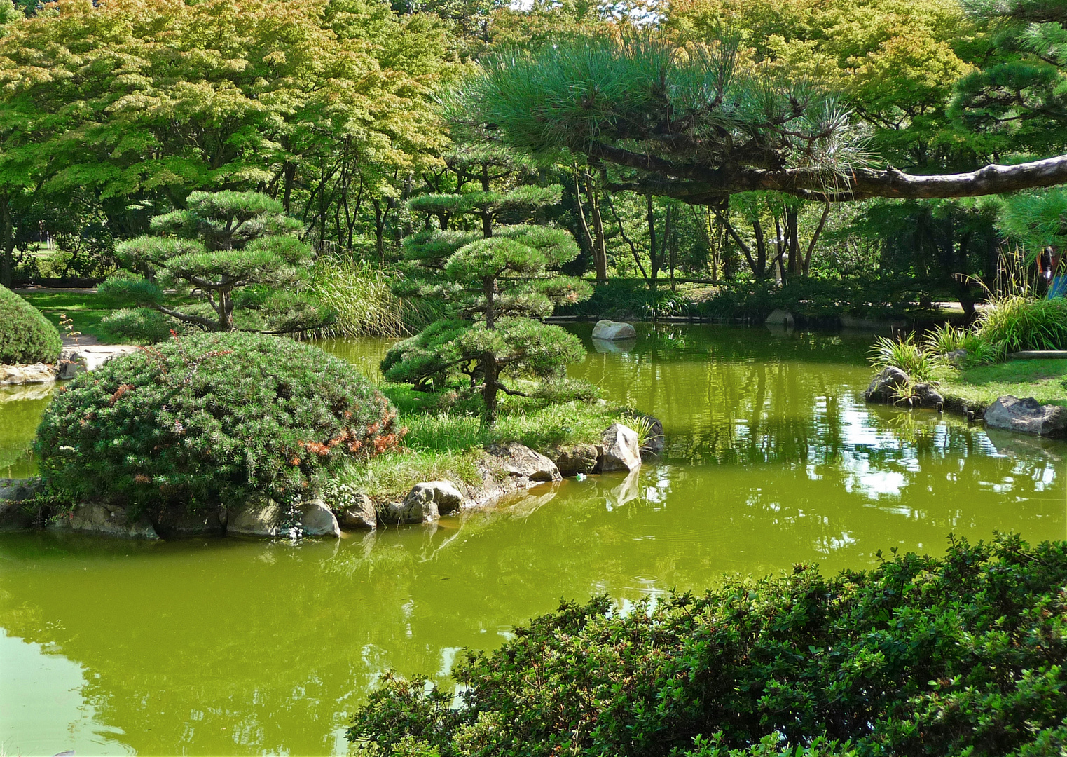 Japanischer Garten