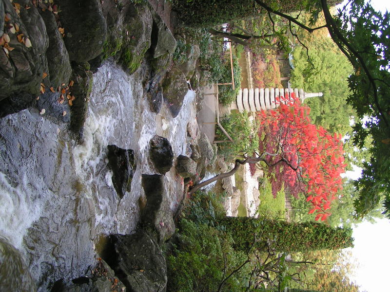 Japanischer Garten