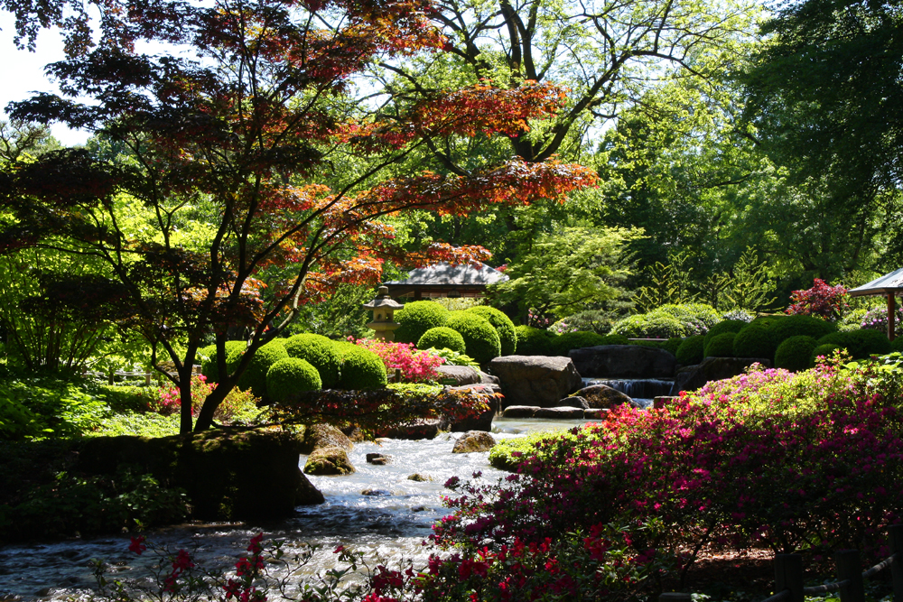 Japanischer Garten