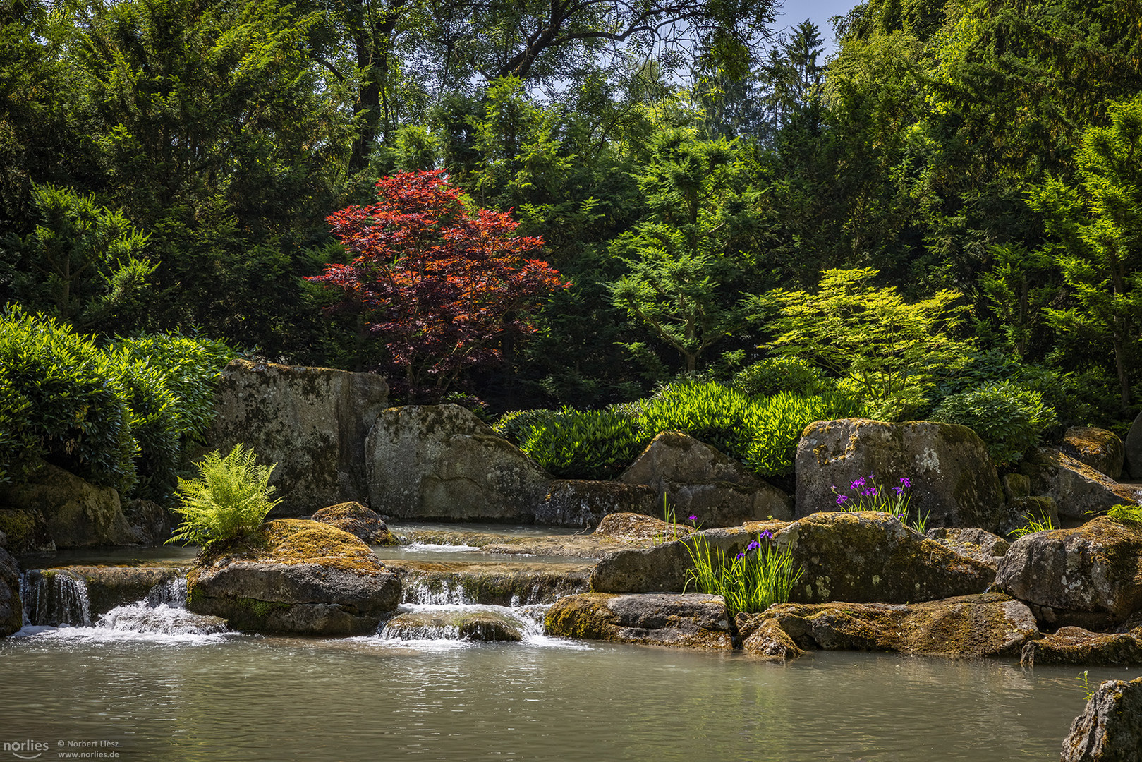 Japanischer Garten