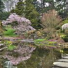 Japanischer Garten