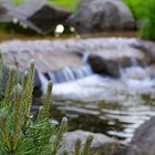 Japanischer Garten