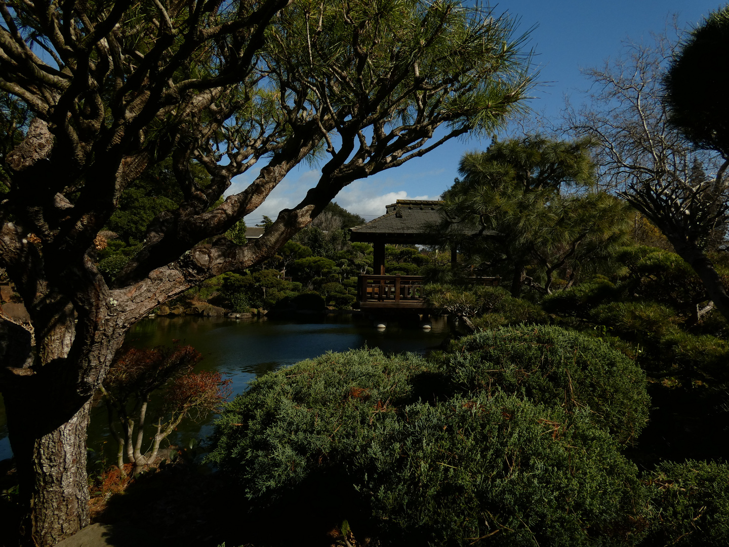 Japanischer Garten