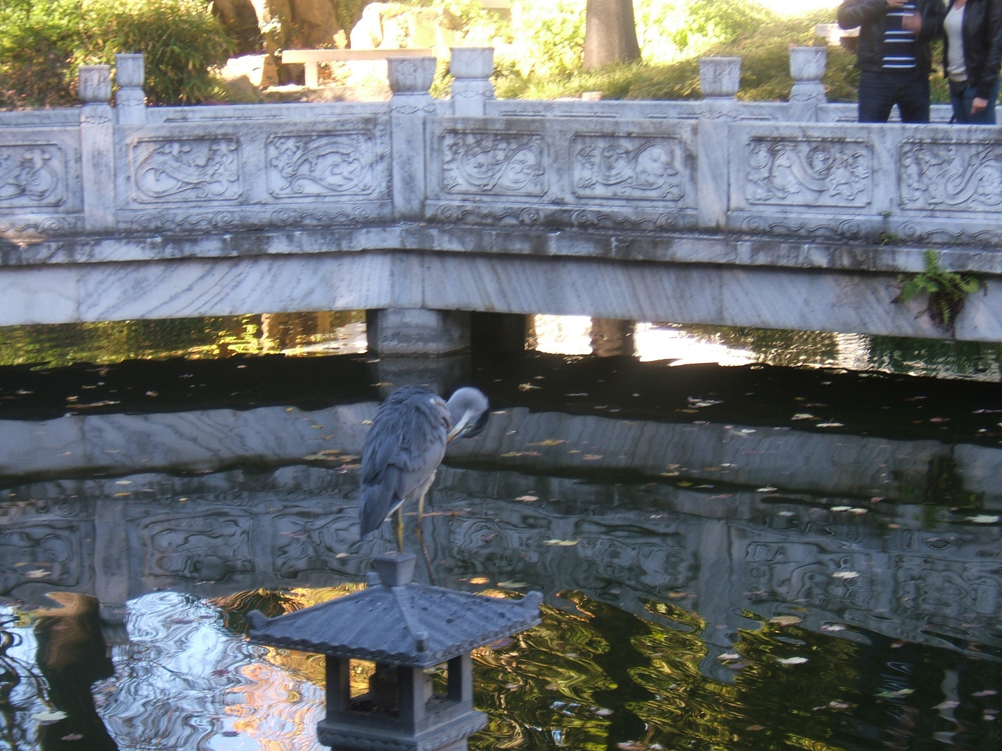 Japanischer Garten Frankfurt