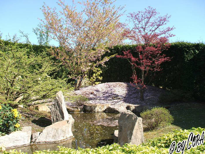 Japanischer Garten I