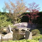 Japanischer Garten I