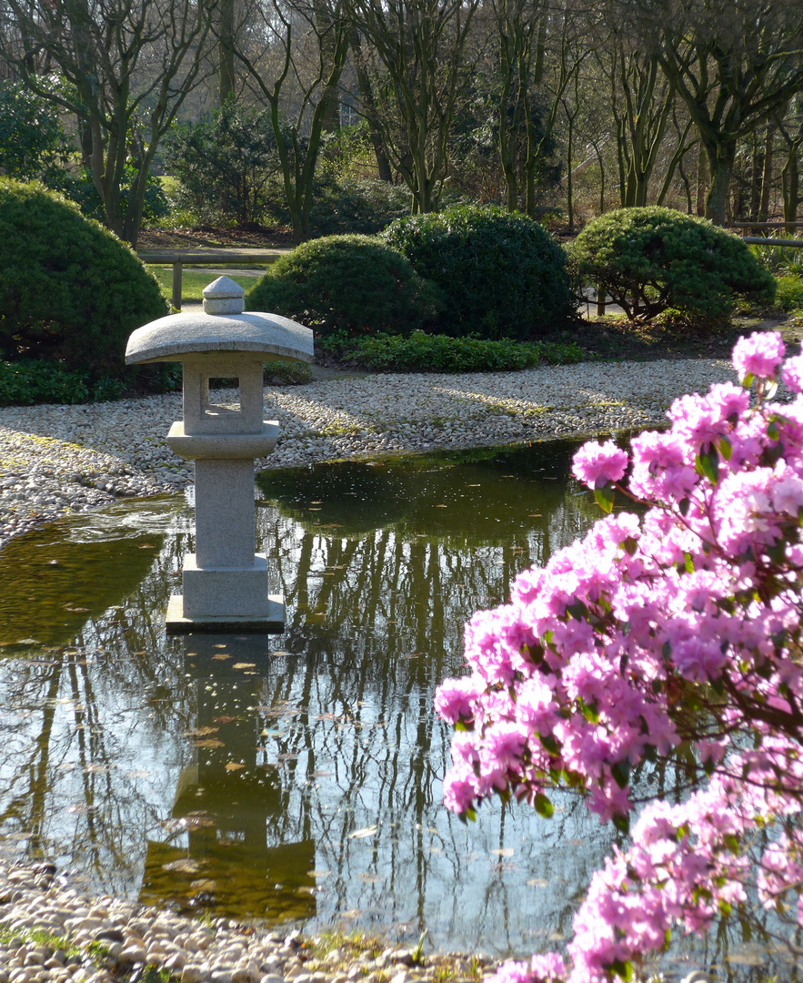 Japanischer Garten II