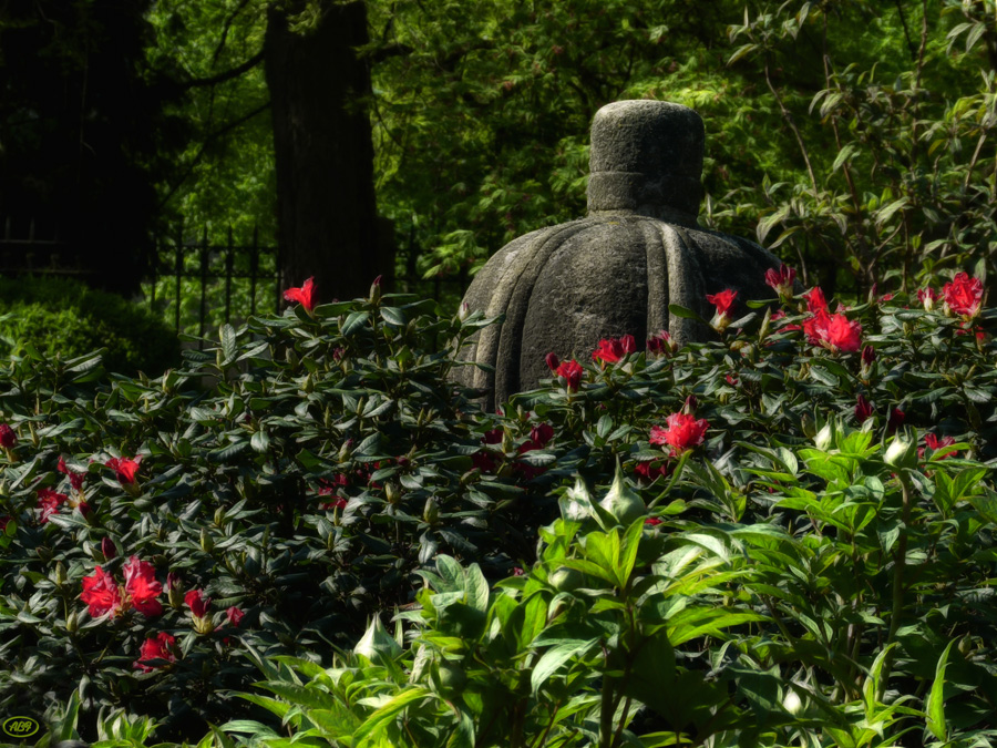 Japanischer Garten im April... (2)