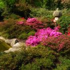 Japanischer Garten im April... (3)