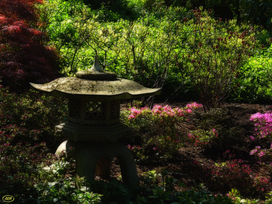 Japanischer Garten im April... (5)