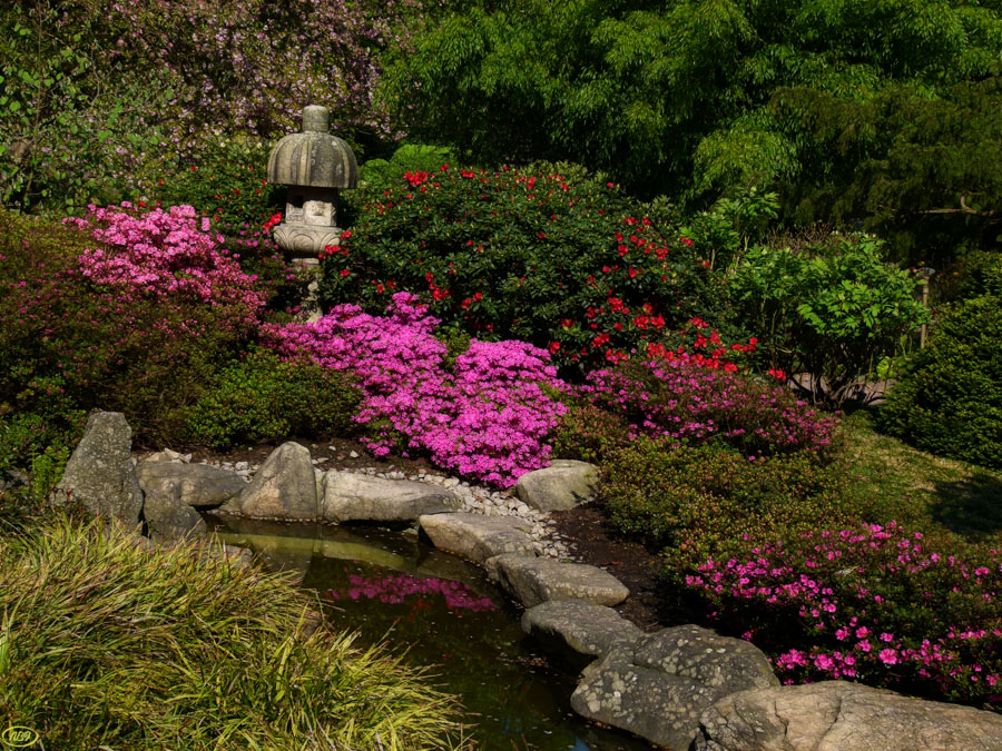 Japanischer Garten im April... (6)