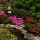 Japanischer Garten im April... (6)