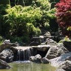 Japanischer Garten im Bonner Rheinauenpark 