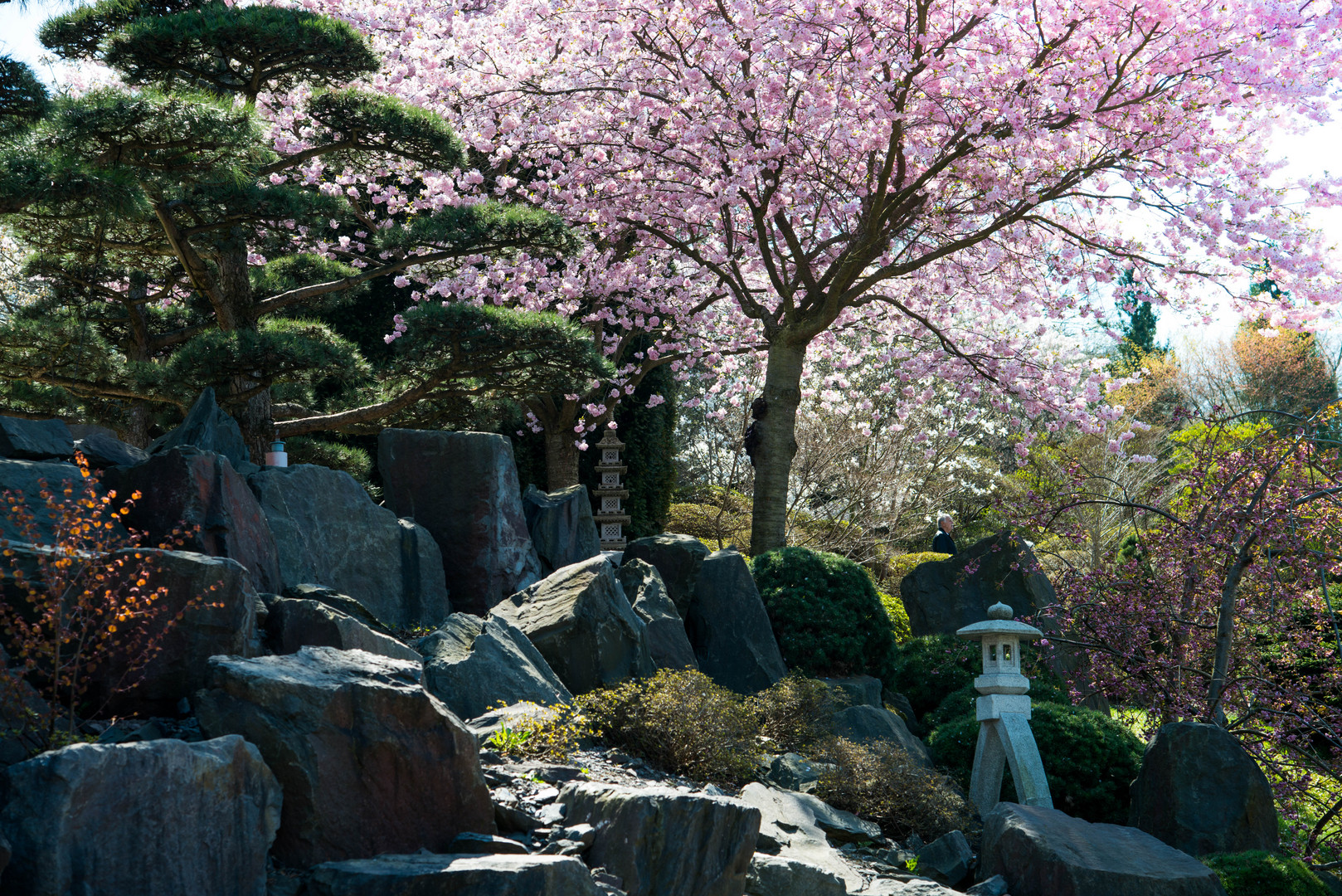 Japanischer Garten im EGAGelände Foto & Bild