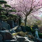 Japanischer Garten im EGA-Gelände