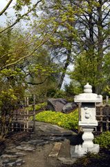 Japanischer Garten im Frühjahr