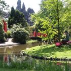 Japanischer Garten im Hamburger Zoo