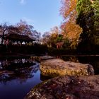 Japanischer Garten im Herbst