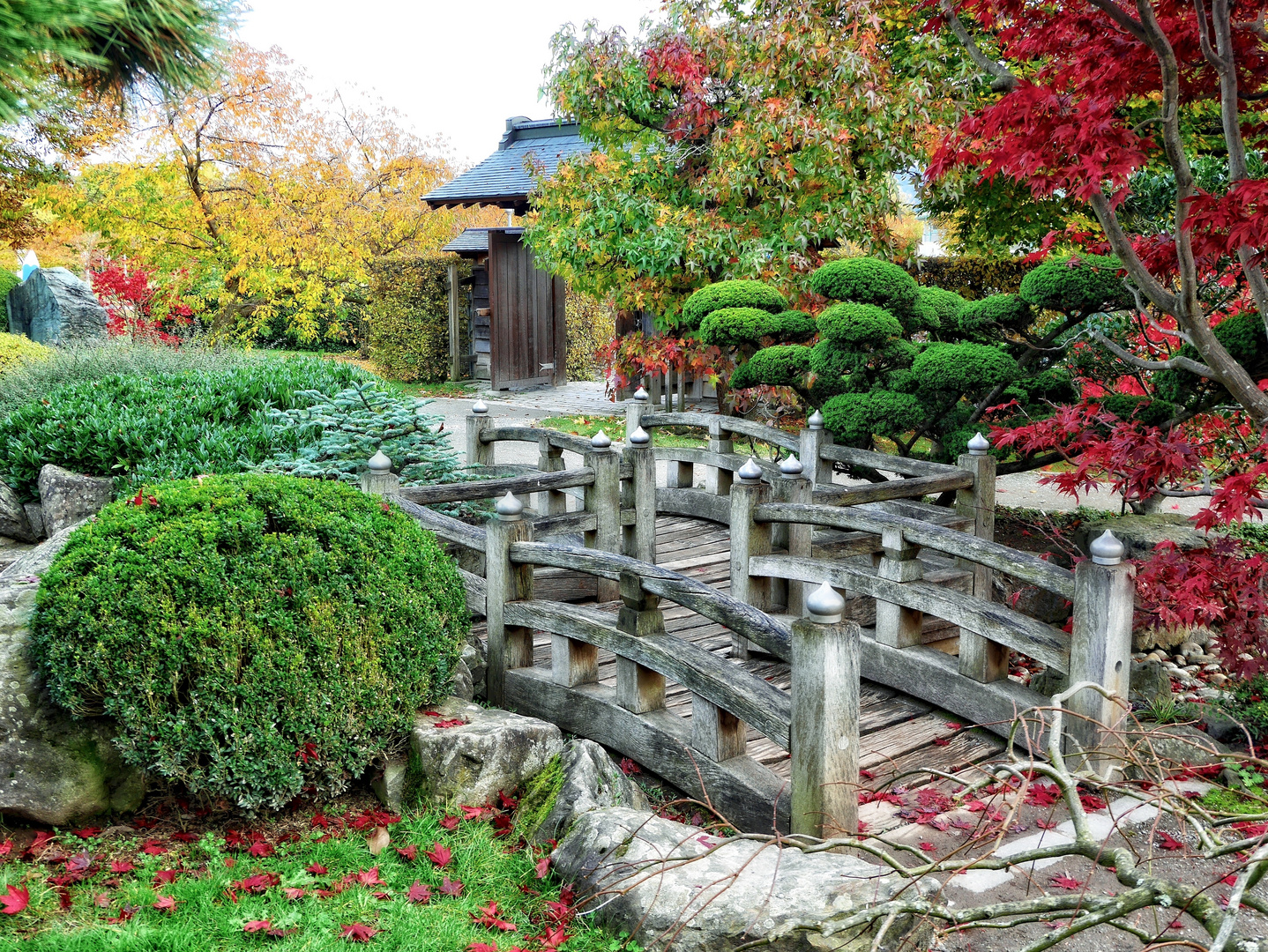 japanischer Garten im Herbst