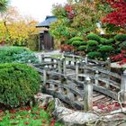 japanischer Garten im Herbst