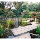 Japanischer Garten im Herbst