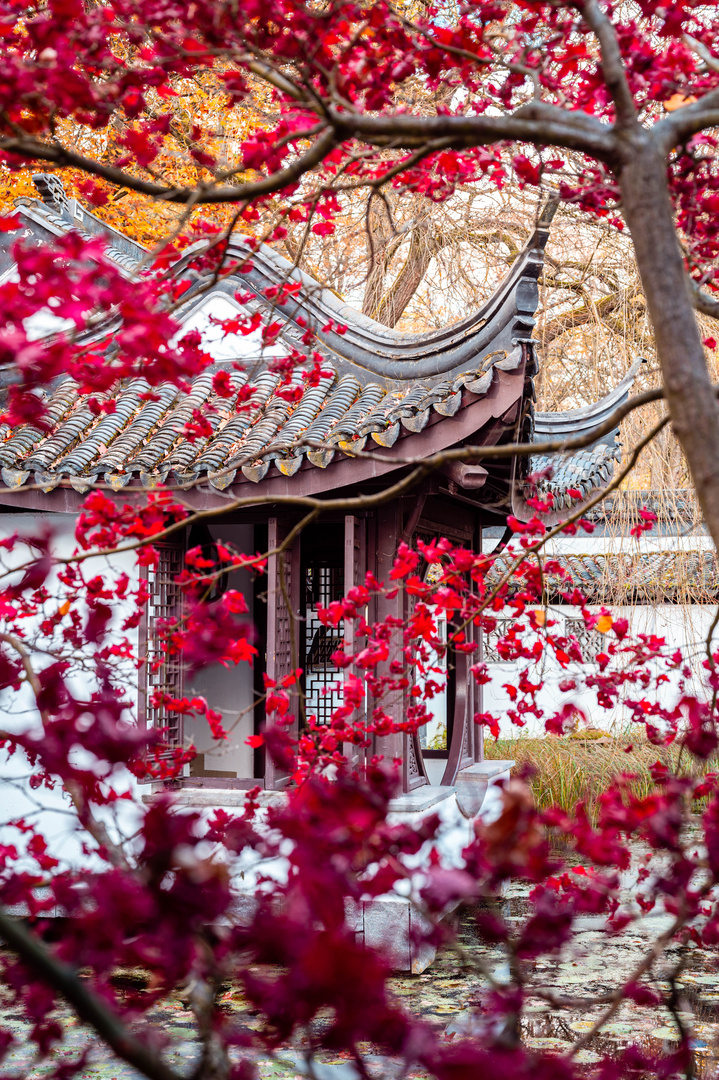 Japanischer Garten im Herbst