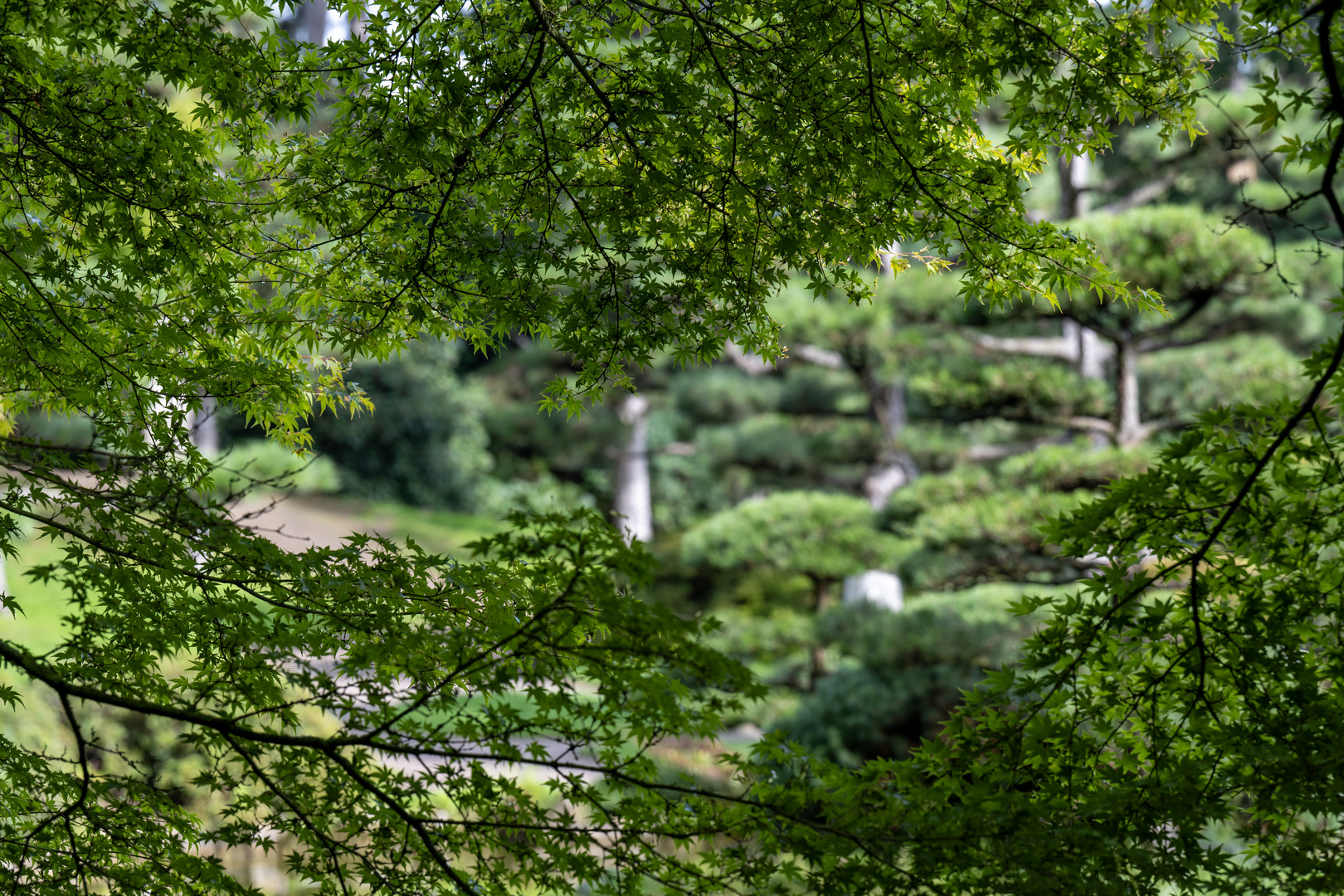 Japanischer Garten im Nordpark in Düsseldorf