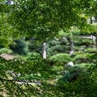 Japanischer Garten im Nordpark in Düsseldorf