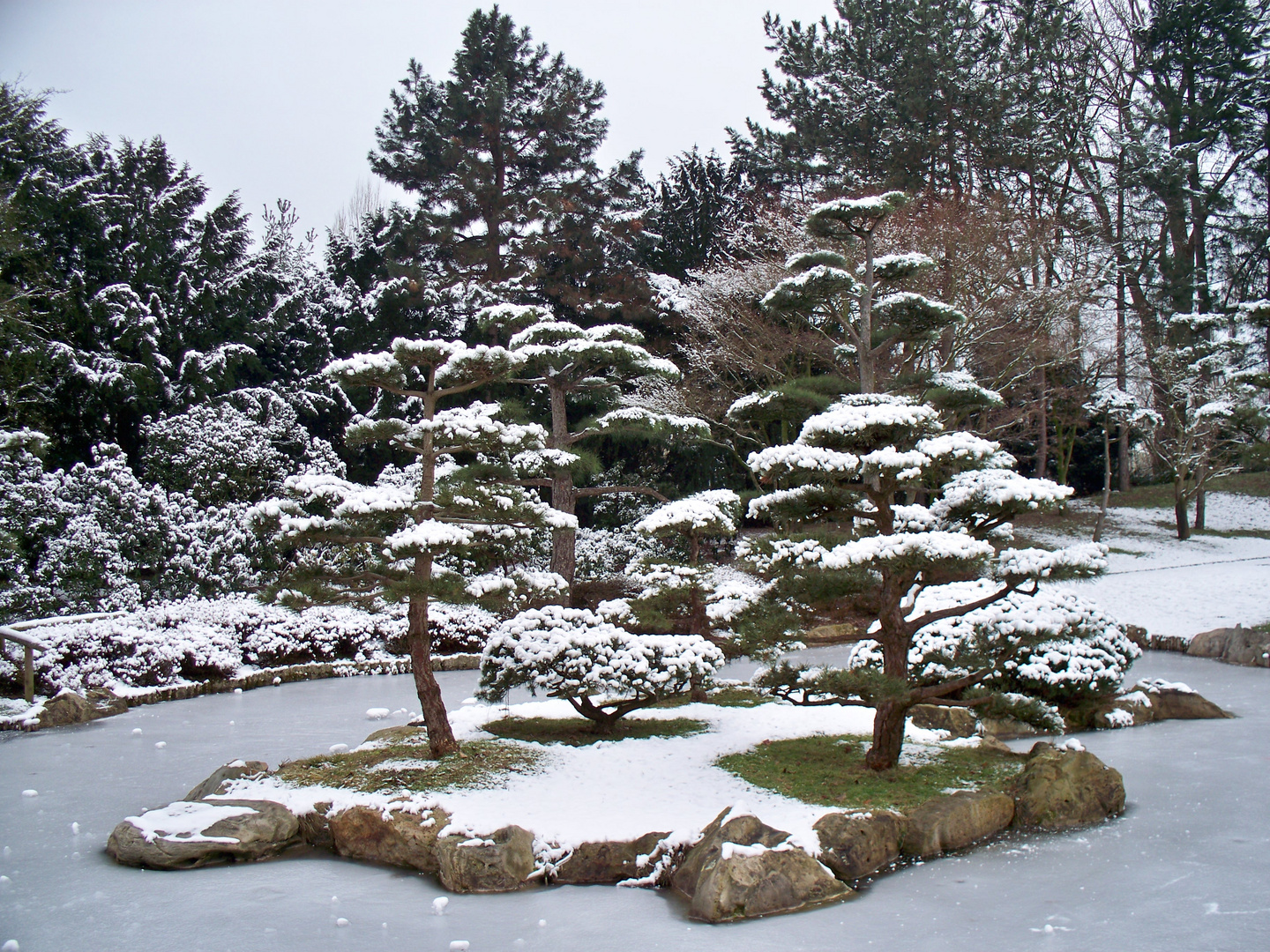 Japanischer Garten im Schnee