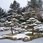 Japanischer Garten im Schnee