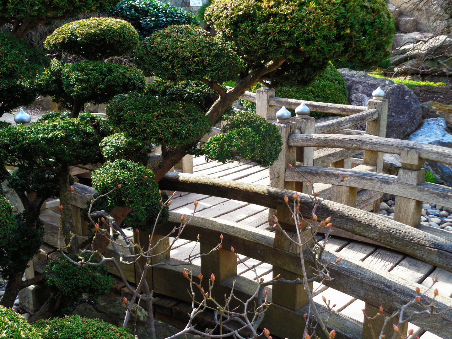 Japanischer Garten Im Seepark Freiburg Foto Bild Erwachsene