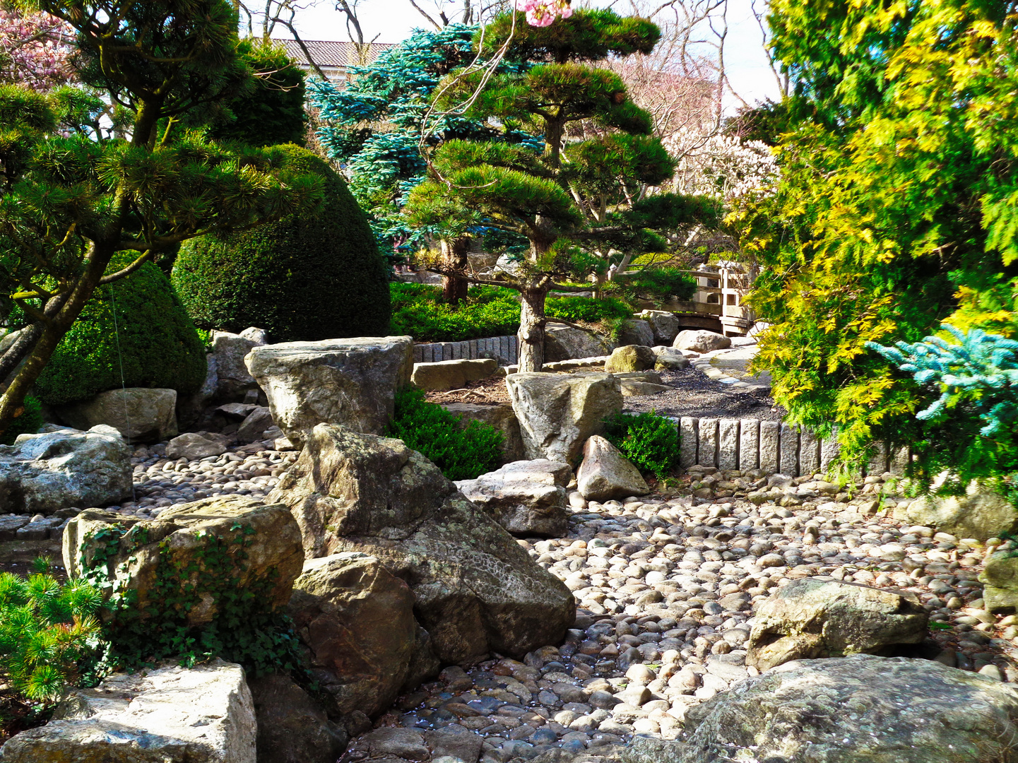 Japanischer Garten im Seepark Freiburg (III)