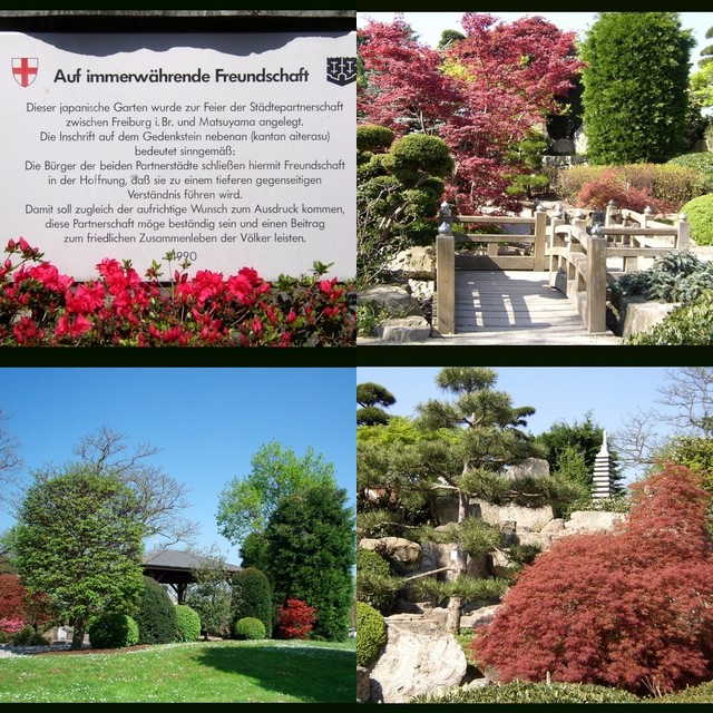 Japanischer Garten im Seeparkgelände von Freiburg