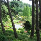 Japanischer Garten im Westfalenpark