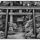 Japanischer Garten im Zoo von Karlsruhe