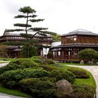 Japanischer Garten in Bad Langensalza