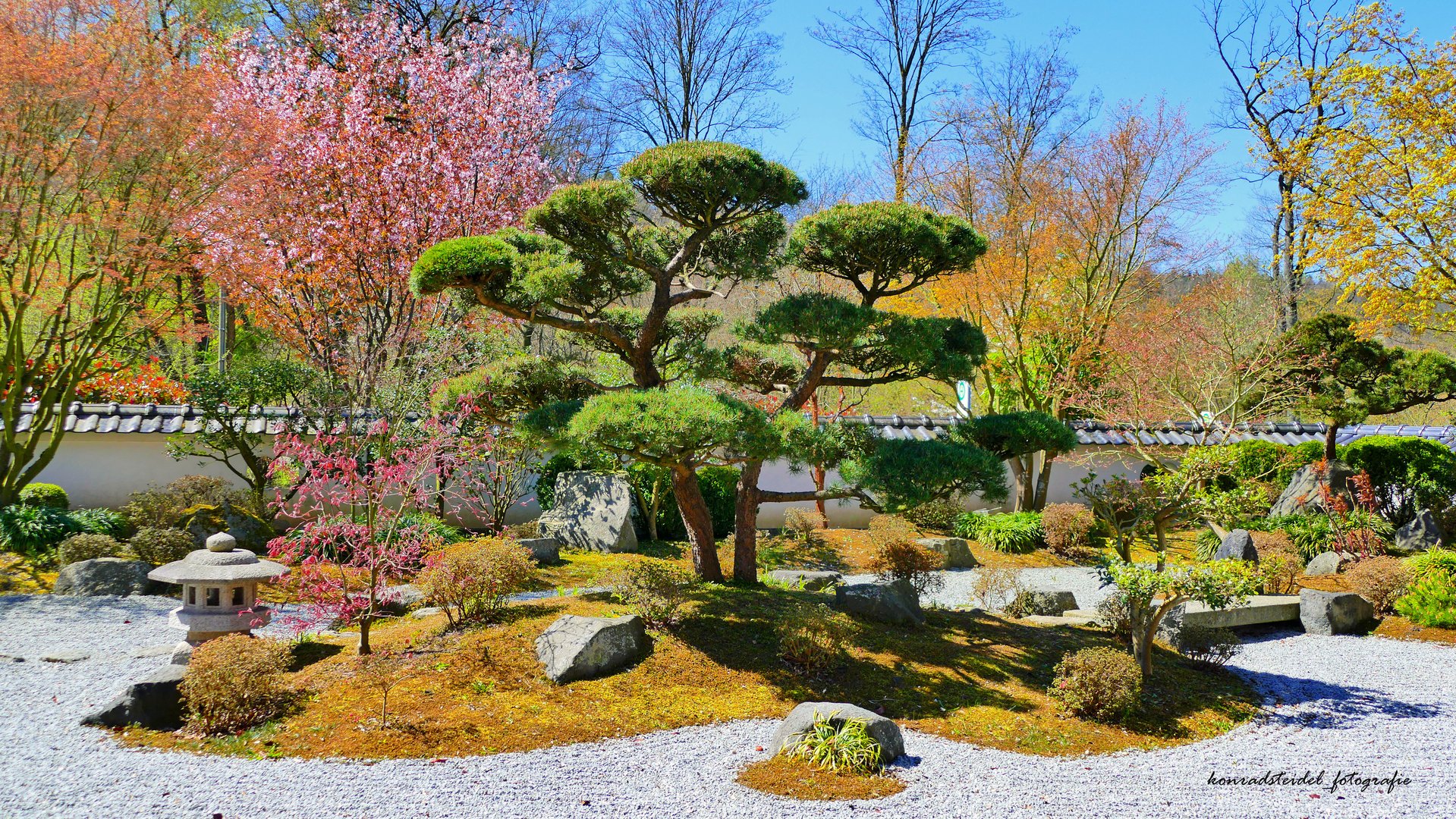 Japanischer Garten in Bielefeld