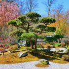 Japanischer Garten in Bielefeld