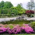 Japanischer Garten in Bonn