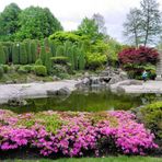 Japanischer Garten in Bonn