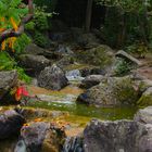 Japanischer Garten in Bonn 5